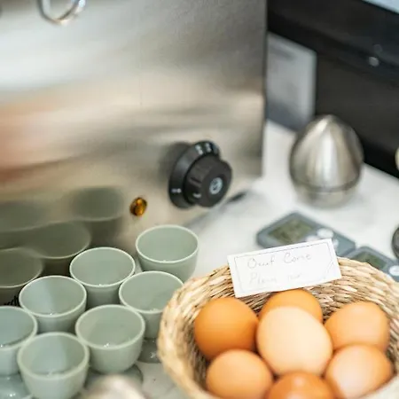 Monsieur Miot Concept - Centre Bastia (Corsica)