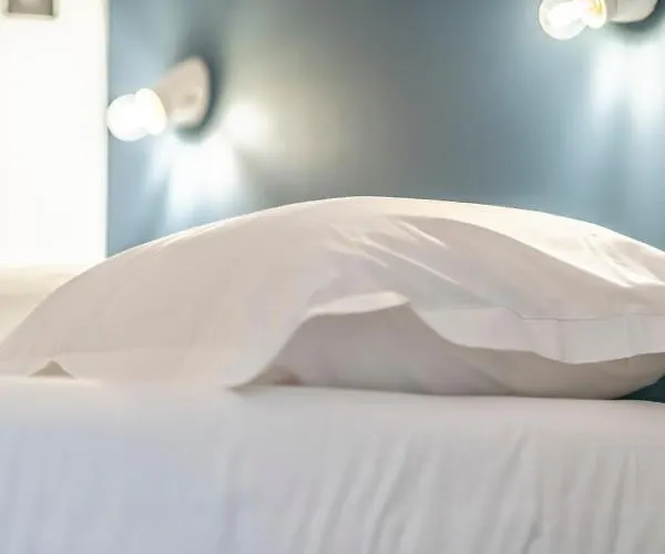 Monsieur Miot Concept - Centre